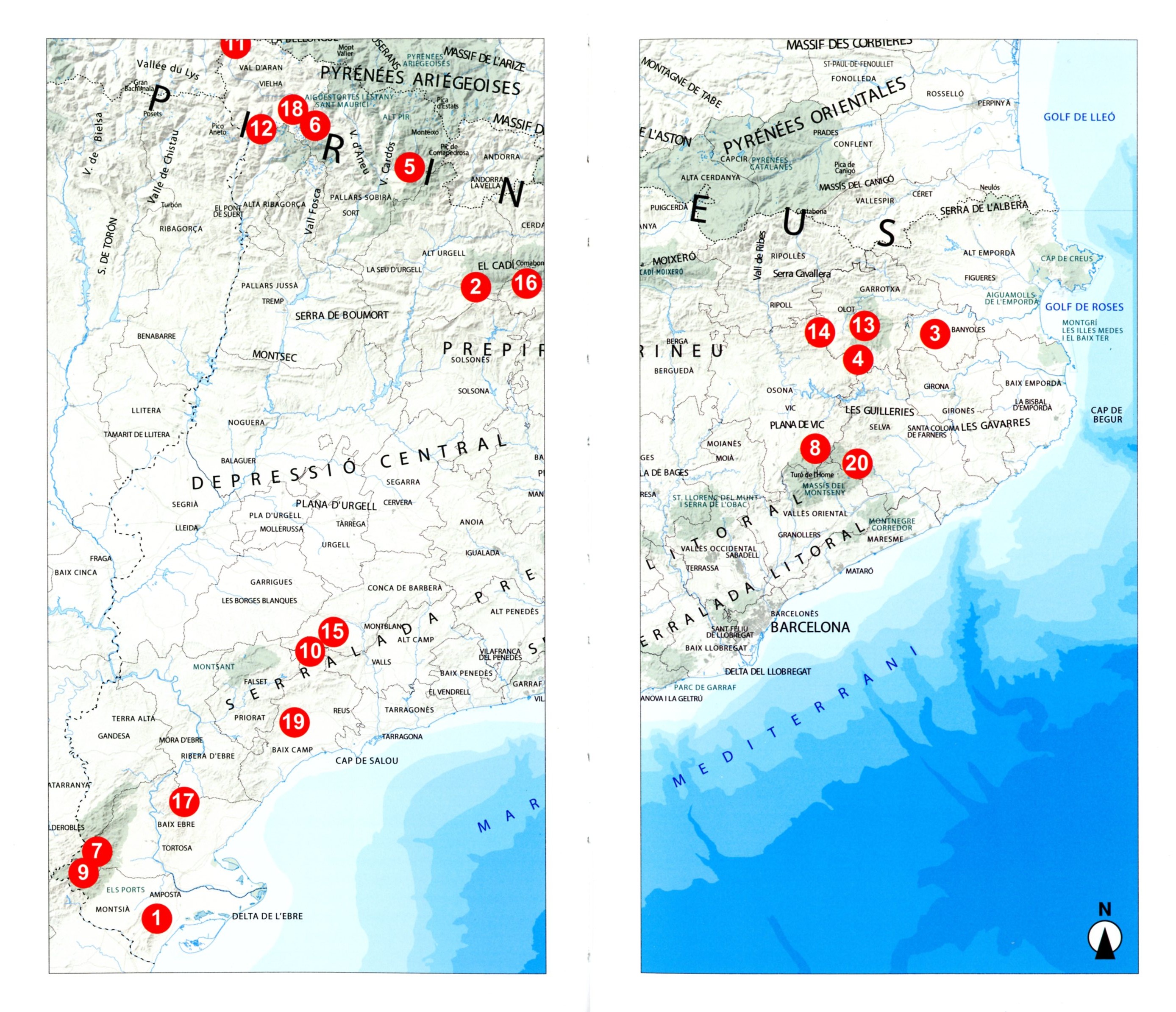 Boscos de Catalunya - Miniatura 2